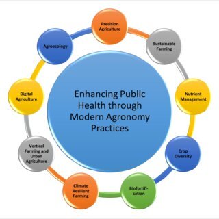 nnovative Approaches to Enhancing Public Health through Modern Agronomy Practices Q320