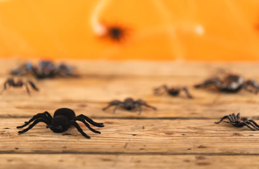 Scattered Spider Hits IAM Again 5 Screenshot 2025 05 03 155909